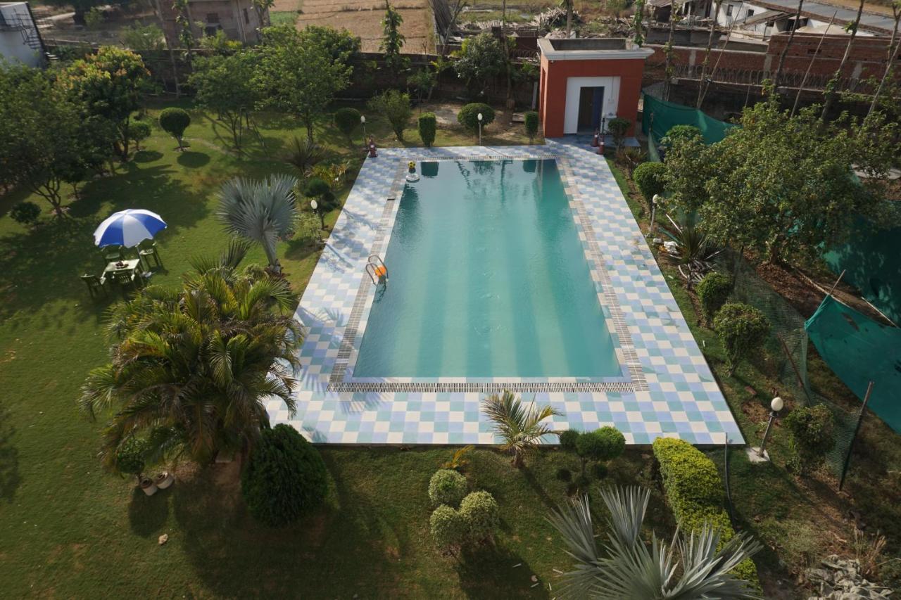 Green Banaras - Varanasi — Photos 2